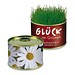 Natur-Konserve mit Samen, Margerite, 1-seit. Druck
