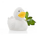 natur
