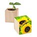Pflanz-Holz, Standardmotiv, Sonnenblume, 2 Seiten gelasert, Gravur