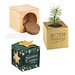Pflanz-Holz Büro Star-Box Xmas mit Fichtensamen, Fichte, 1-seit. Druck