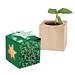 Pflanz-Holz Star-Box mit Samen, Persischer Klee, 1-seit. Druck