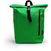 FERN GREEN