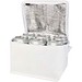 Spectrum Kühltasche aus recyceltem GRS Non Woven für 6 Dosen 4 L, weiss