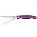 eggplant purple