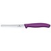 eggplant purple