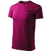 fuchsia rot