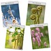 Bildkalender Natur ganz nah
