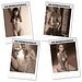 Bildkalender Women 2027