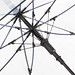 FARE® Automatik-Stockschirm Pure, transparent/marine