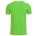 JAMES & NICHOLSON Herren T-Shirt Basic aus Bio-Baumwolle, hellgrün, S