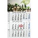 Geiger-Notes Monatskalender Budget 3 green+blue, inkl. Druck, blau