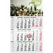Geiger-Notes Monatskalender Budget 3 green+blue, inkl. Druck, rot