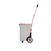 reisenthel® Einkaufsroller carrycruiser, frame twist sky rose