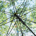 FARE® AC-Stockschirm Nature, schwarz/Wald-Design