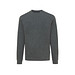 Iqoniq Denali ungefärbt. Rundhals-Sweater aus recycelter BW, ungefärbtes Anthrazit, XXS