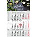 Geiger-Notes Monatskalender Budget 3 Bestseller, inkl. Druck, hellgrau
