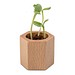Pflanz-Holz Hexagon mit Samen, Sonnenblume, 1-seit. Druck