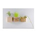 Pflanz-Holz Magnet mit Samen, Margerite, 1-seit. Druck