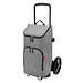 reisenthel® Reisetasche citycruiser bag twist silver