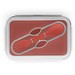SAFFRON. Lunchbox. Faltbare hermetische Frischhaltebox aus Silikon und PP 640 mL, Rot
