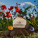 Seedbomb 4-er Set - Flower-Ball Bienenwiese , braun