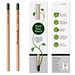Sprout | Bleistift Sonnenblume, inkl. Standardkarton mit Planzanleitung auf Rückseite