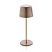 Zenic USB Tischleuchte aus RCS recyceltem Kunststoff, Bronze