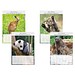 Bild-Wandkalender Tierkinder 2027