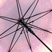 AC-Stockschirm FARE®-Motiv, Sonnenblumen-Design