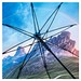 FARE® AC-Stockschirm Nature, schwarz/Berg-Design