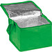 Non-Woven Kühltasche Nieby, grün