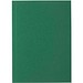 Novella Austen A6 Softcover Notizbuch – 100 Blatt, grün
