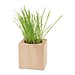 Pflanz-Holz, Standardmotiv, Ostern