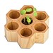 Pflanz-Holz Hexagon mit Samen, Ostern, Basilikum, 1-seit. Druck