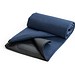 RILEY. EPE-gefütterte Picknick-Decke (180 g/m²), Blau