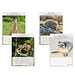 Bild-Wandkalender Tierkinder 2027