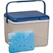 CrisMa Kühlbox mit Kühlakku ARIANNA, beige