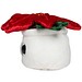 MiniFeet® Displayreiniger Schmoozies® Evergreenies® Weihnachtsstern