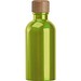 Edelstahltrinkflasche mit Karabiner, 400ml, apfelgrün