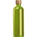 Edelstahltrinkflasche mit Karabiner, 750ml, apfelgrün