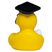 Schnabels® Bade-Ente Absolvent, bunt