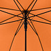 doppler® Automatik-Portierschirm Hit Golf XXL, orange