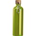 Edelstahltrinkflasche mit Karabiner, 750ml, apfelgrün