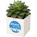 Hey Pots Blumentopf aus Aluminium, Sukkulente, weiss