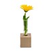 Mini-Vase, 1-seit. Druck
