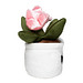 MiniFeet® Displayreiniger Schmoozies® Evergreenies® Tulpe