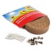 Plant-Tab mit Samen, Margerite, 1-seit. Druck