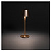 Zenic USB Tischleuchte aus RCS recyceltem Kunststoff, Bronze