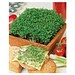 Flower-Card mit Samen, Gartenkresse, 1-seit. Druck