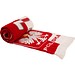 HDC-Fanschal mit eingestricktem Motiv und Fransen, Bunt